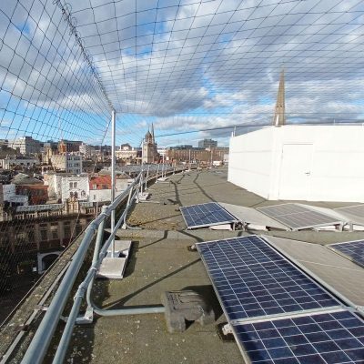 re_pivot+mark_roof_154339509